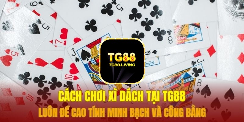 TG88 - Hướng Dẫn Cách Chơi Xì Dách Cơ Bản 2 Cách chơi xì dách tại TG88 luôn đề cao tính minh bạch và công bằng