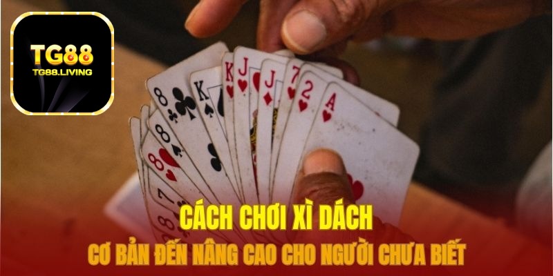 TG88 - Hướng Dẫn Cách Chơi Xì Dách Cơ Bản 2 cách chơi xì dách